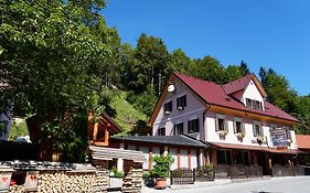 Guest House Gostisce Gacnk V Logu